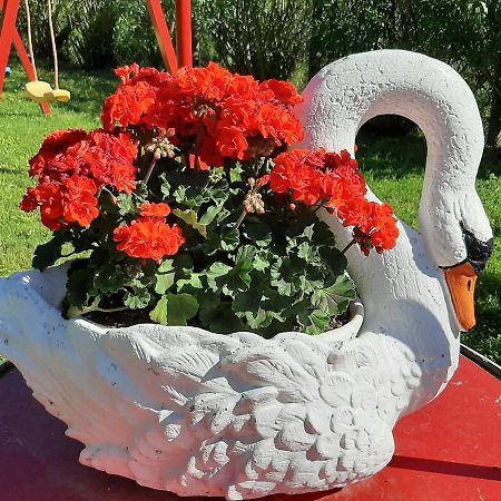 La Cupoletta Casa Vacanze- Magnolia Trevignano Romano Esterno foto